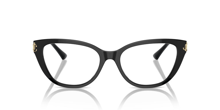 Jimmy Choo JC3011 5000 52