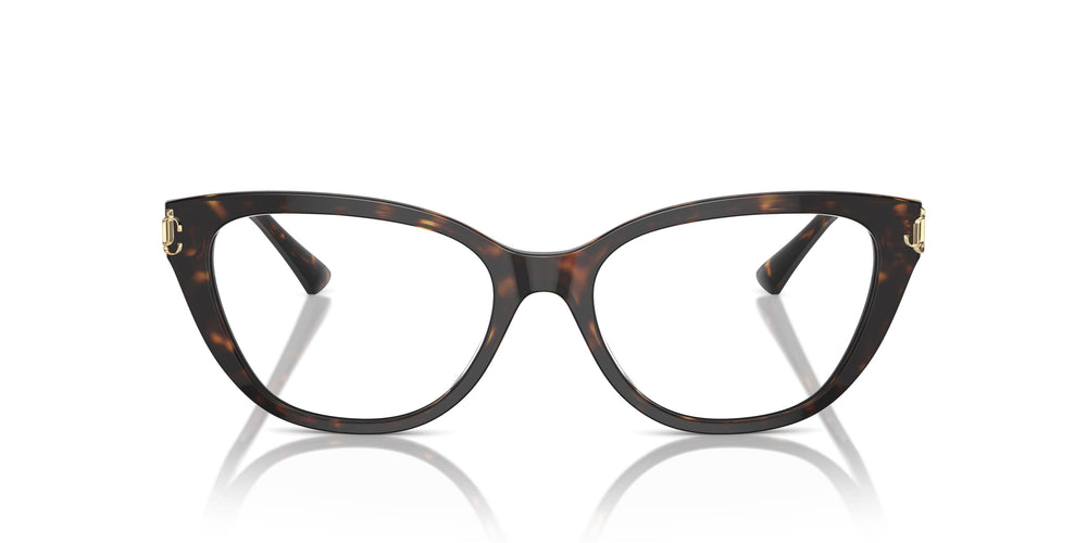 Jimmy Choo JC3011 5002 54