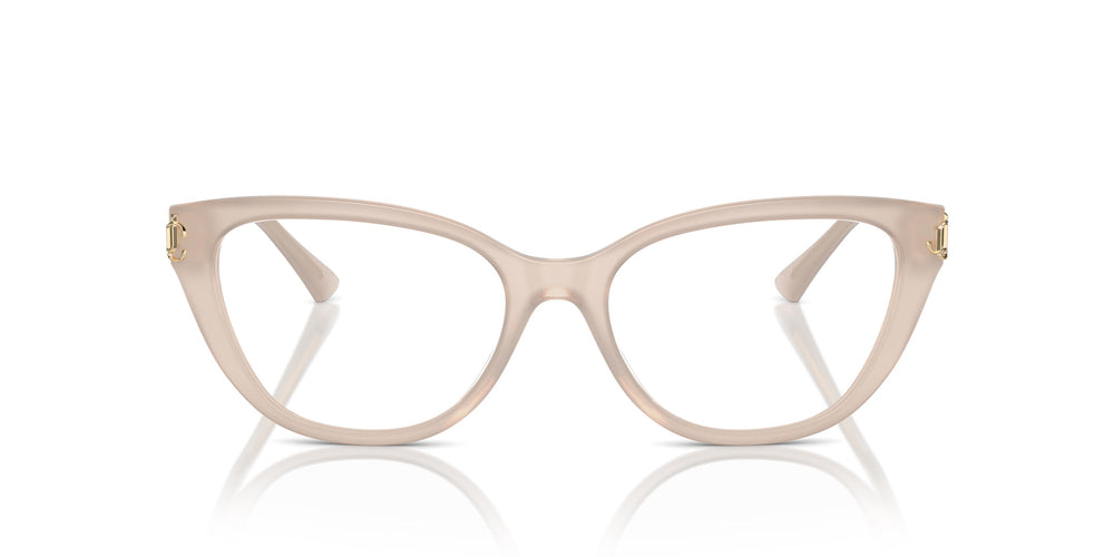 Jimmy Choo JC3011 5025 54