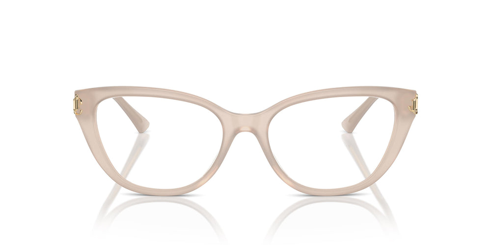 Jimmy Choo JC3011 5025 52