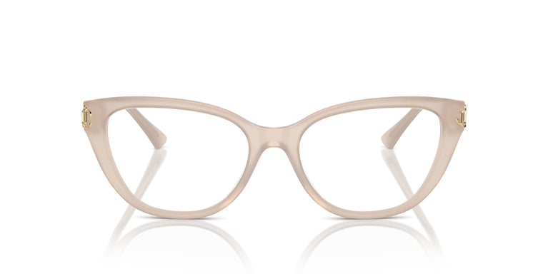 Jimmy Choo JC3011 5025 52