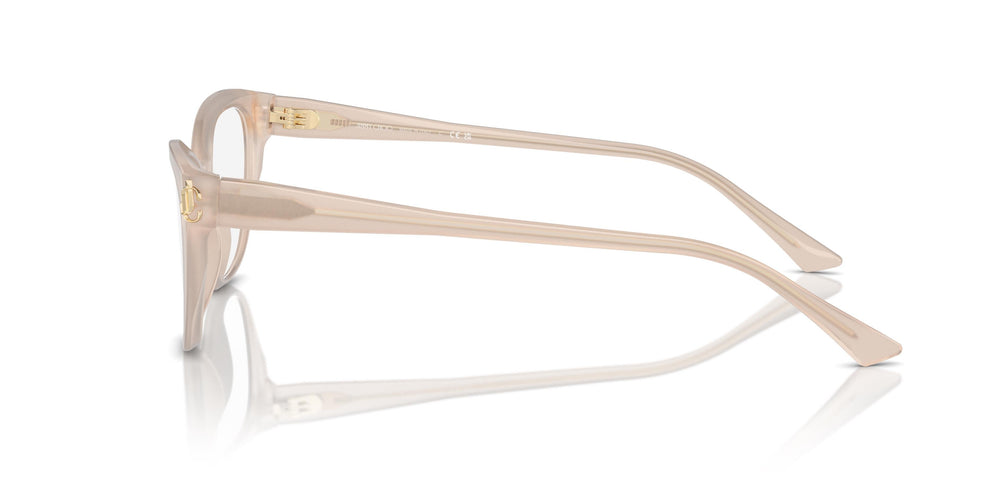 Jimmy Choo JC3011 5025 52