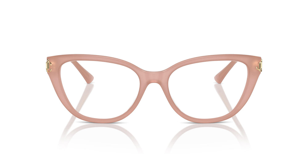 Jimmy Choo JC3011 5027 54
