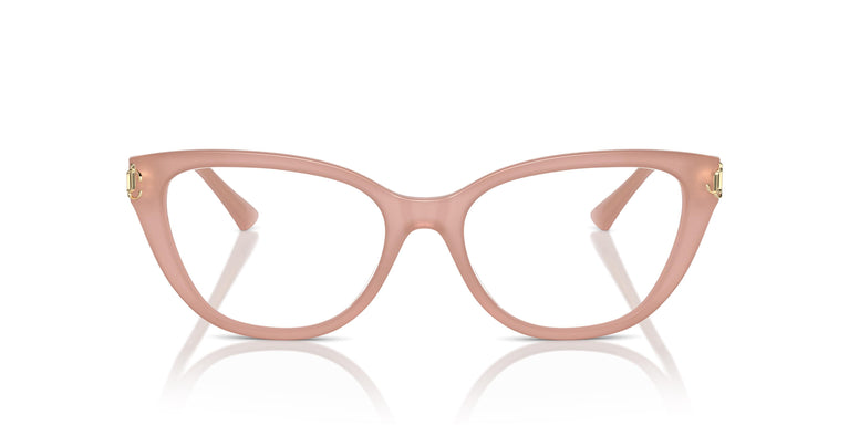 Jimmy Choo JC3011 5027 54