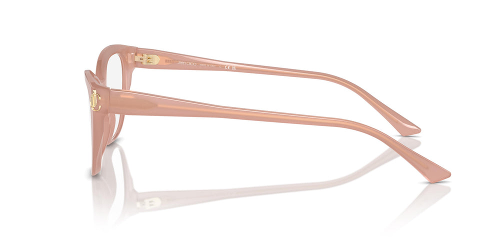 Jimmy Choo JC3011 5027 52