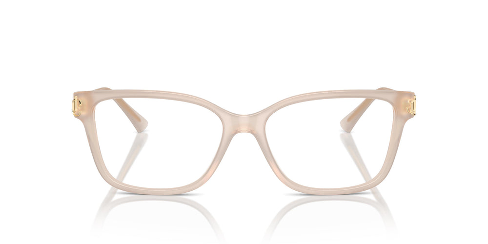 Jimmy Choo JC3012 5025 53