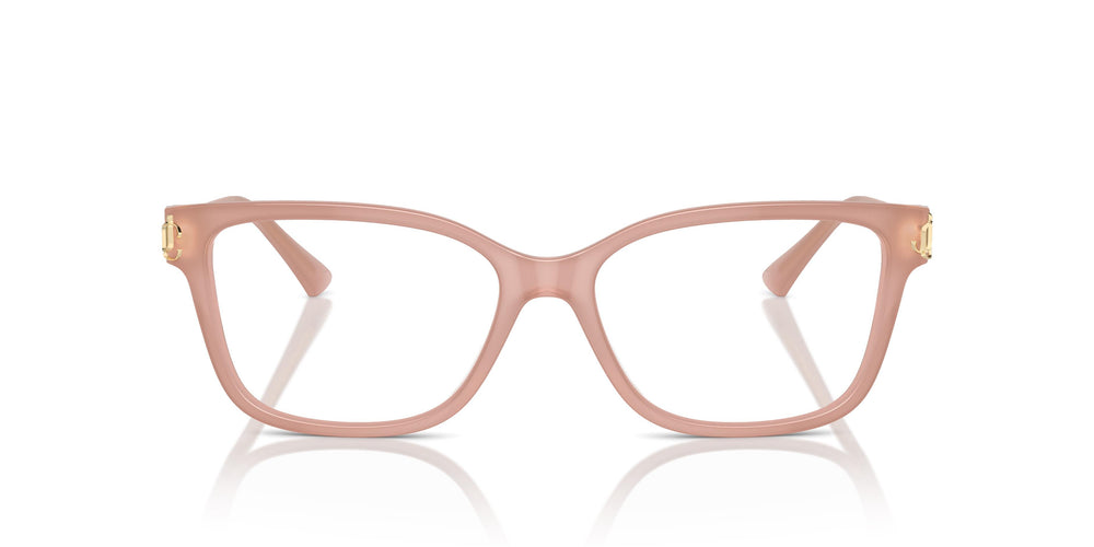Jimmy Choo JC3012 5027 55