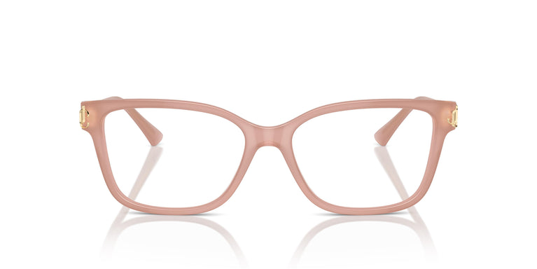 Jimmy Choo JC3012 5027 55