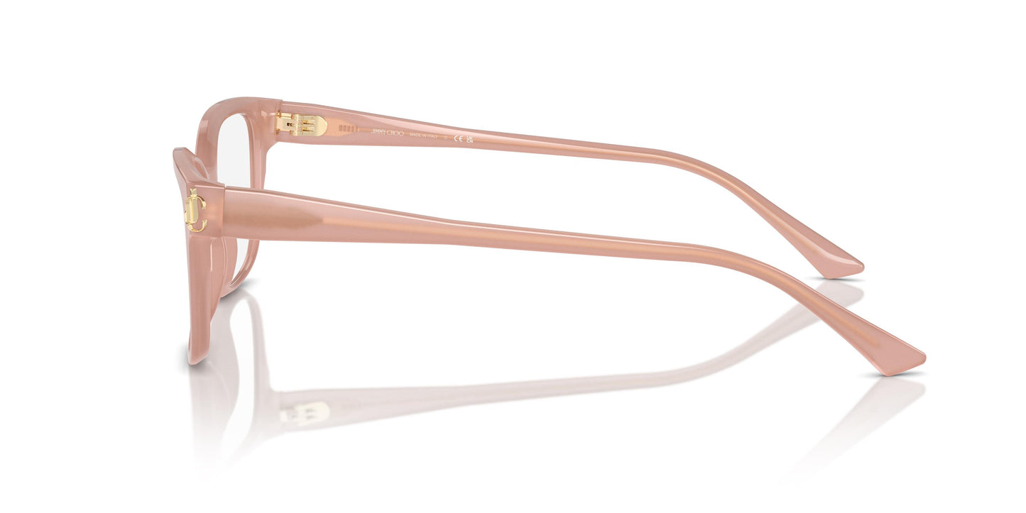 Jimmy Choo JC3012 5027 55