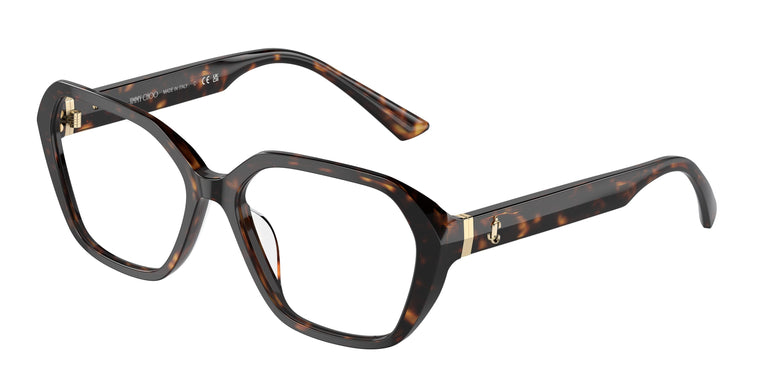 Jimmy Choo JC3013U 5002 55