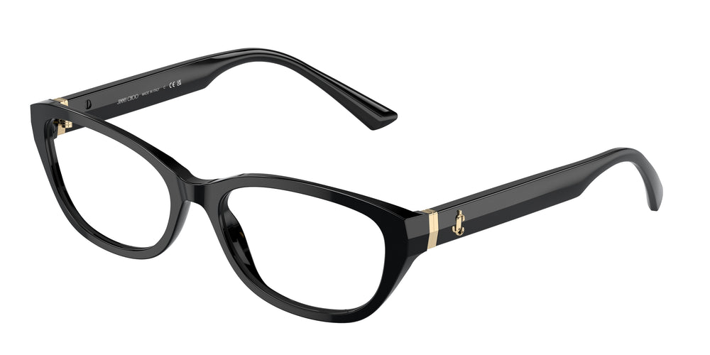 Jimmy Choo JC3015 5000 55