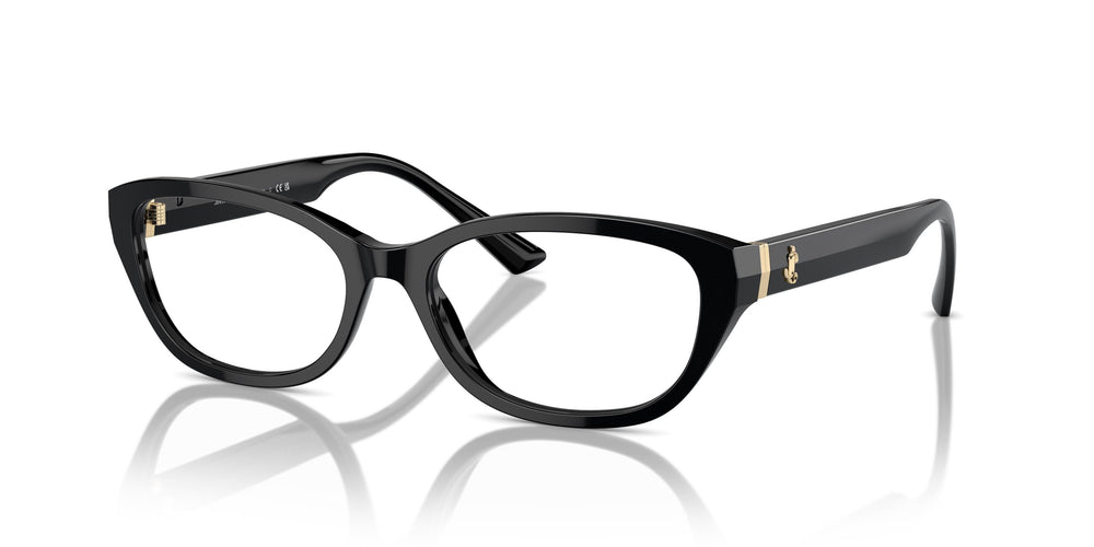 Jimmy Choo JC3015 5000 53