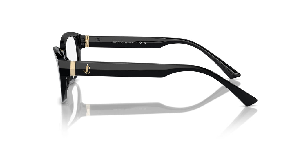 Jimmy Choo JC3015 5000 55