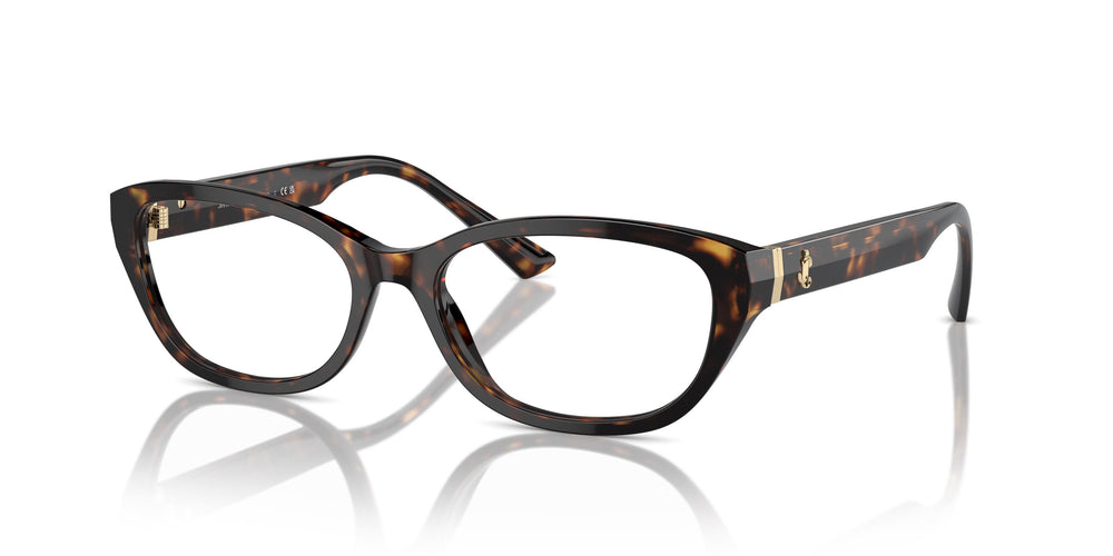 Jimmy Choo JC3015 5002 55