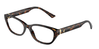 Jimmy Choo JC3015 5002 55