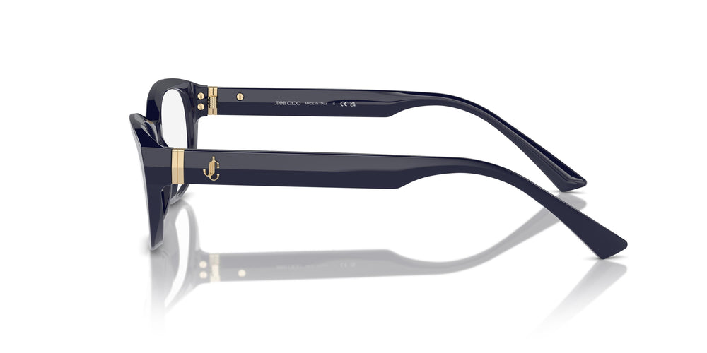 Jimmy Choo JC3015 5023 55