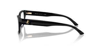 Jimmy Choo JC3016 5000 54