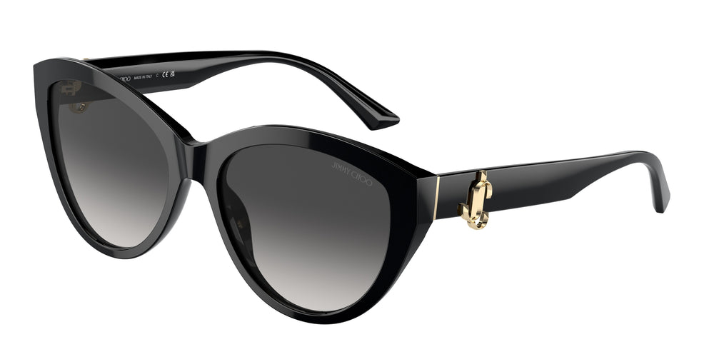 Jimmy Choo JC5007 50008G 55