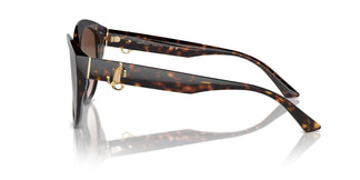 Jimmy Choo JC5007 500213 55