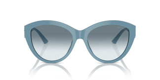 Jimmy Choo JC5007 501219 55