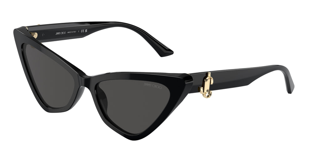 Jimmy Choo JC5008 500087 55