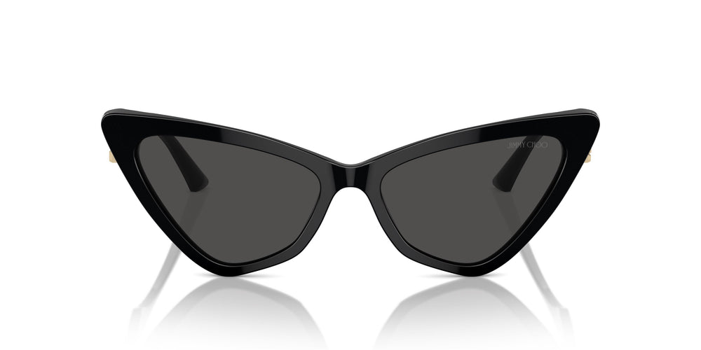 Jimmy Choo JC5008 500087 55