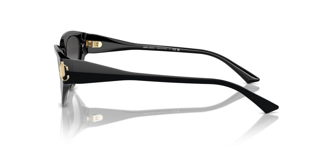 Jimmy Choo JC5019 50008G 55
