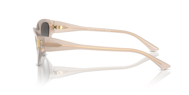 Jimmy Choo JC5019 50258G 55