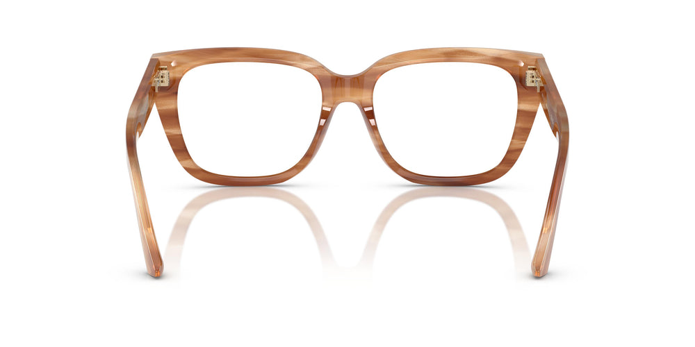 Jimmy Choo JC3019B 5055 52