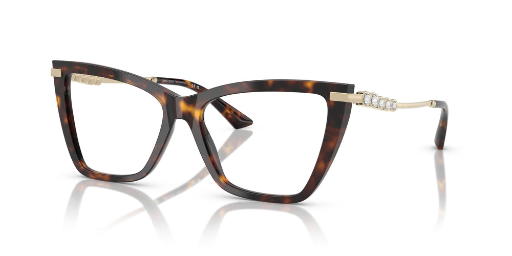 Jimmy Choo JC3020B 5002 55