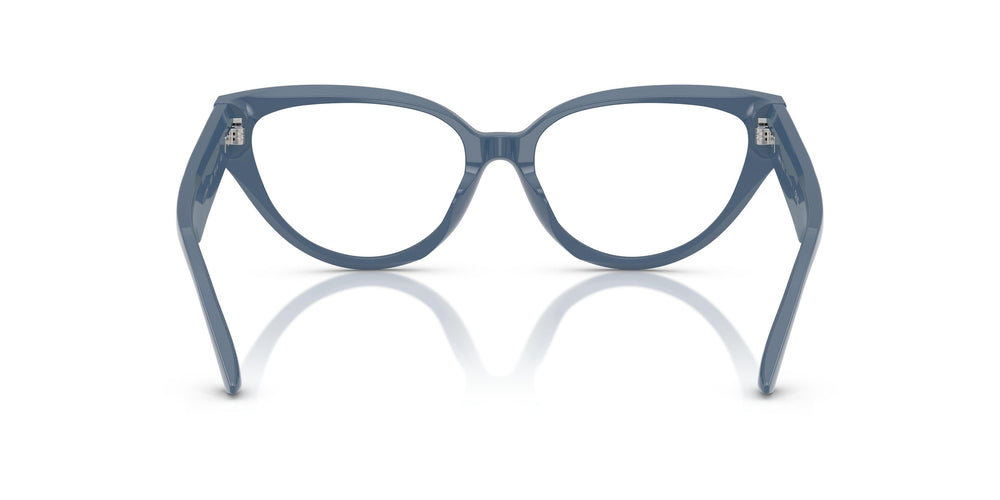 Jimmy Choo JC3023HU  5020 55