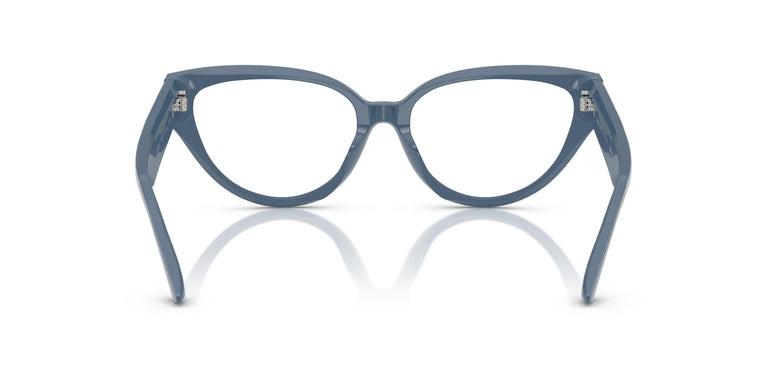 Jimmy Choo JC3023HU  5020 55