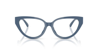 Jimmy Choo JC3023HU  5020 55