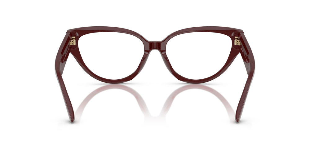 Jimmy Choo JC3023HU  5057 55