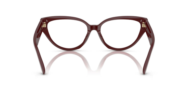Jimmy Choo JC3023HU  5057 55