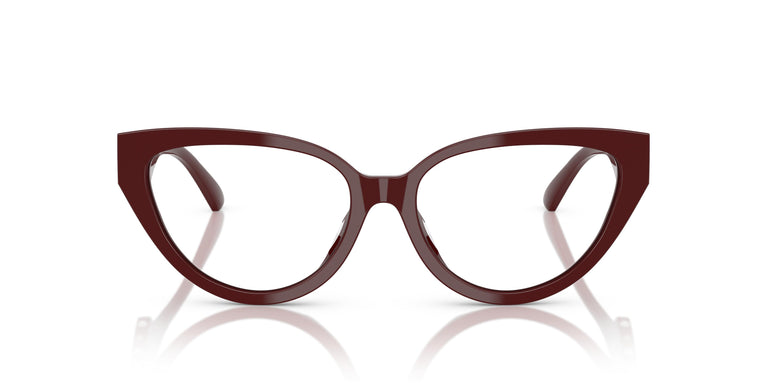 Jimmy Choo JC3023HU  5057 53
