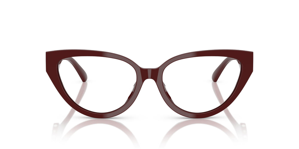 Jimmy Choo JC3023HU  5057 55
