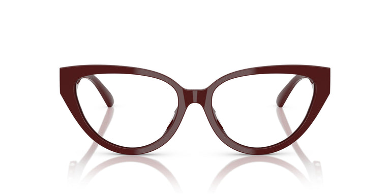 Jimmy Choo JC3023HU  5057 55