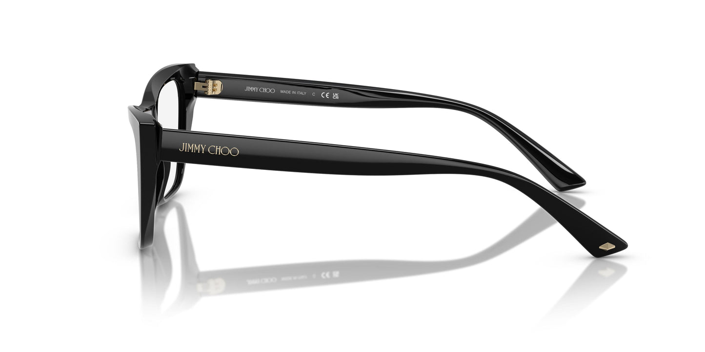 Jimmy Choo JC3025 5000 52