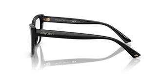 Jimmy Choo JC3025 5000 52