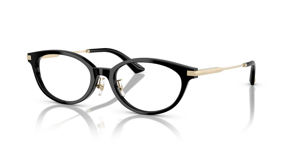 Jimmy Choo JC3029D 5000 52