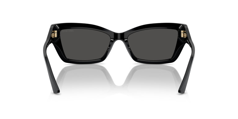 Jimmy Choo JC5011U  500087 55