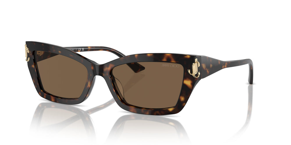 Jimmy Choo JC5011U 500273 55