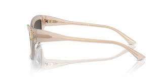 Jimmy Choo JC5011U  502587 55