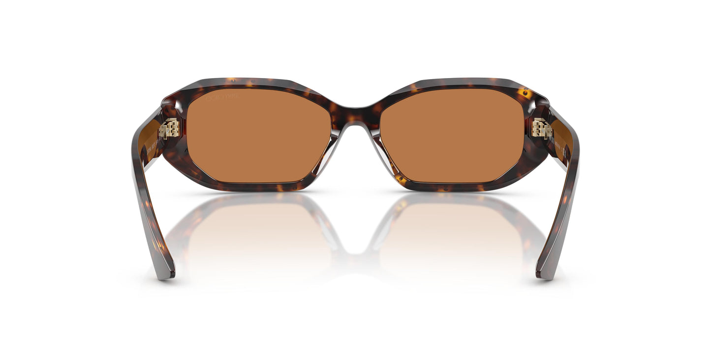 Jimmy Choo JC5021BU  500273 56
