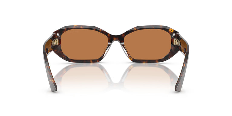 Jimmy Choo JC5021BU  500273 56