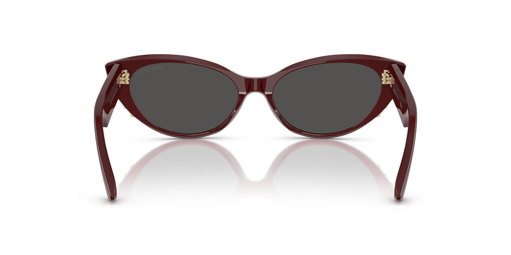 Jimmy Choo JC5023H  505787 55