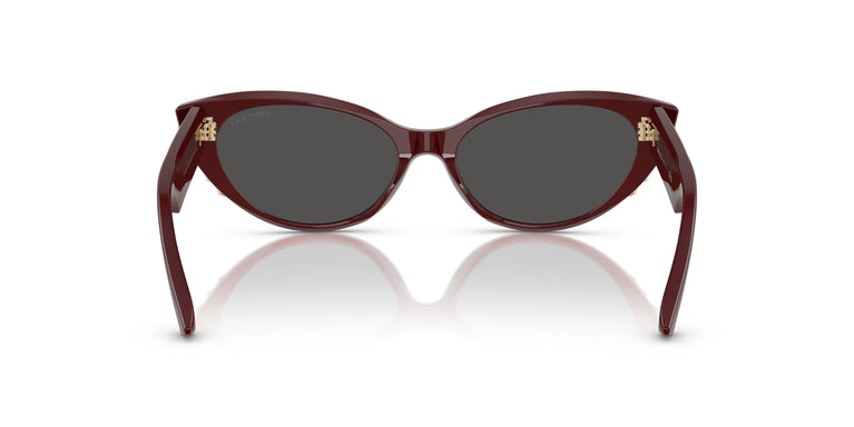 Jimmy Choo JC5023H 505787 55