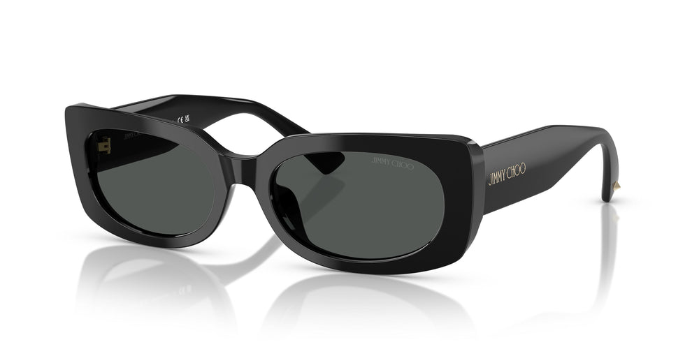 Jimmy Choo JC5029U  500087 54