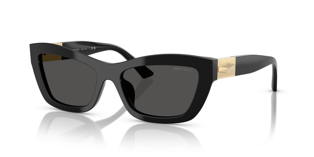 Jimmy Choo JC5030U 500087 54